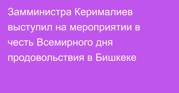 Замминистра Керималиев выступил на мероприятии в честь Всемирного дня продовольствия в Бишкеке 