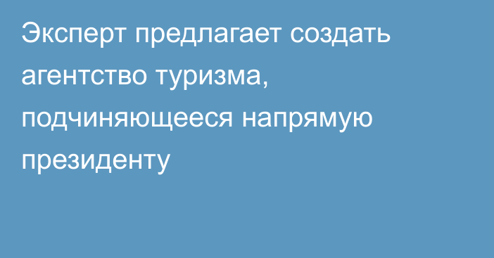 Эксперт предлагает создать агентство туризма, подчиняющееся напрямую президенту