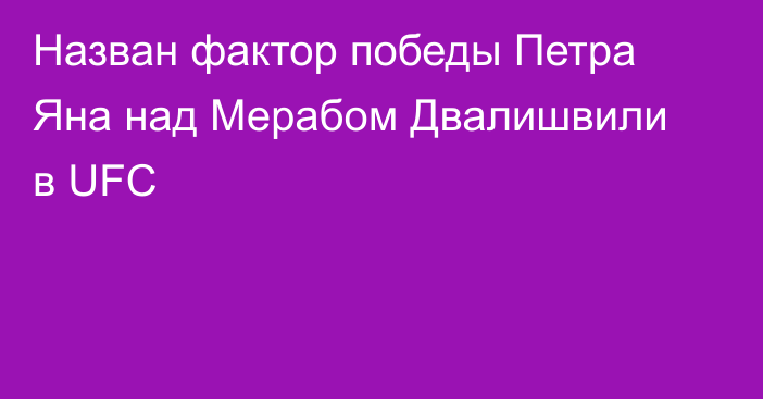Назван фактор победы Петра Яна над Мерабом Двалишвили в UFC