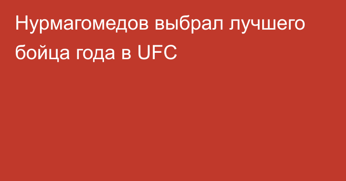 Нурмагомедов выбрал лучшего бойца года в UFC
