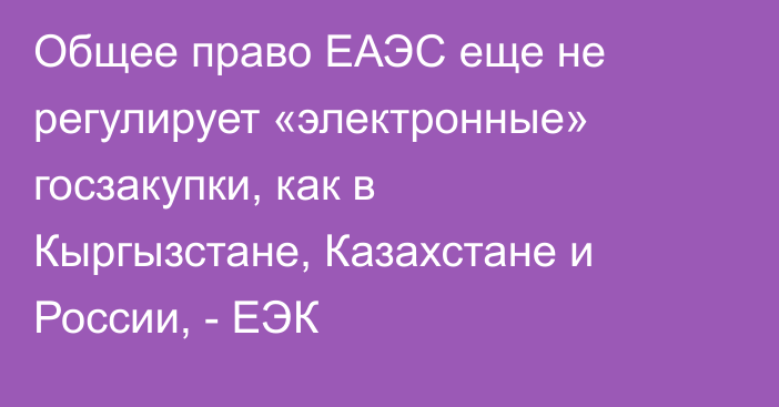 Общее право ЕАЭС еще не регулирует «электронные» госзакупки, как в Кыргызстане, Казахстане и России, - ЕЭК