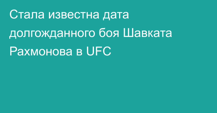Стала известна дата долгожданного боя Шавката Рахмонова в UFC