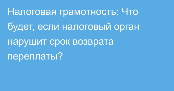 Налоговая грамотность: Что будет, если налоговый орган нарушит срок возврата переплаты?