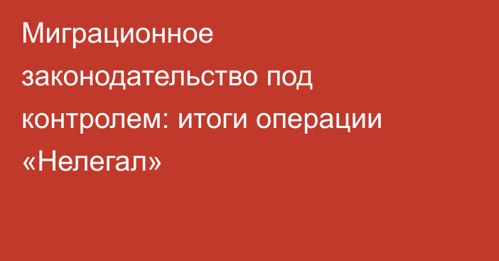Миграционное законодательство под контролем: итоги операции «Нелегал»