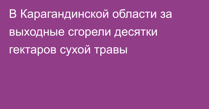 В Карагандинской области за выходные сгорели десятки гектаров сухой травы