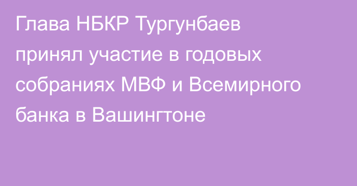 Глава НБКР Тургунбаев принял участие в годовых собраниях МВФ и Всемирного банка в Вашингтоне