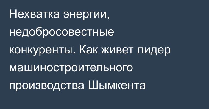 Нехватка энергии, недобросовестные конкуренты. Как живет лидер машиностроительного производства Шымкента