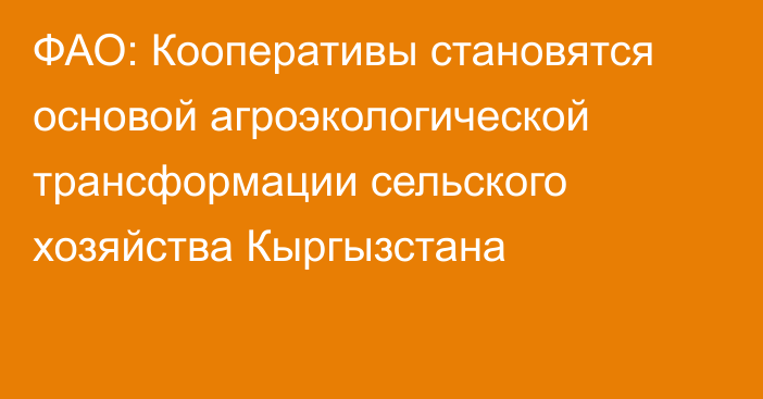 ФАО: Кооперативы становятся основой агроэкологической трансформации сельского хозяйства Кыргызстана