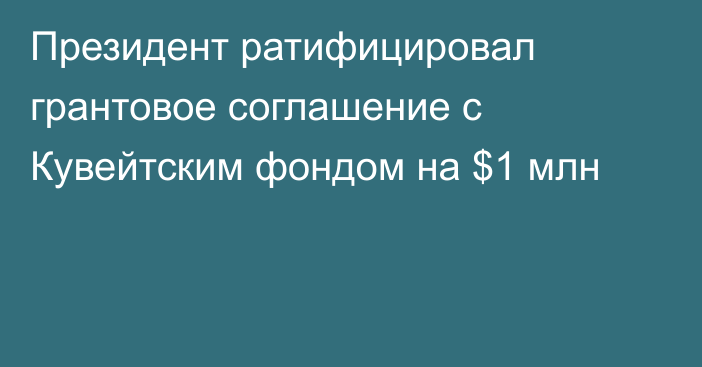 Президент ратифицировал грантовое соглашение с Кувейтским фондом на $1 млн