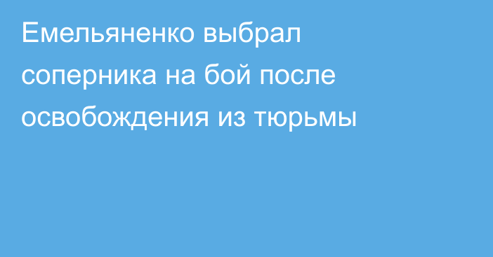 Емельяненко выбрал соперника на бой после освобождения из тюрьмы
