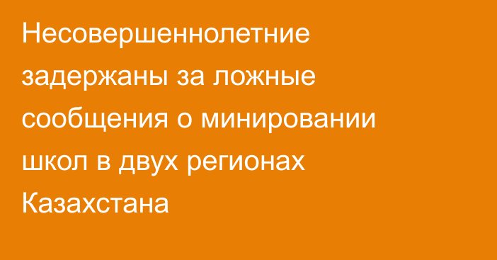 Несовершеннолетние задержаны за ложные сообщения о минировании школ в двух регионах Казахстана