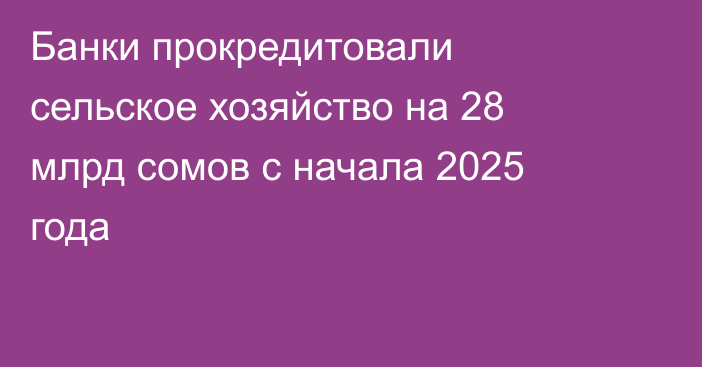 Банки прокредитовали сельское хозяйство на 28 млрд сомов с начала 2025 года
