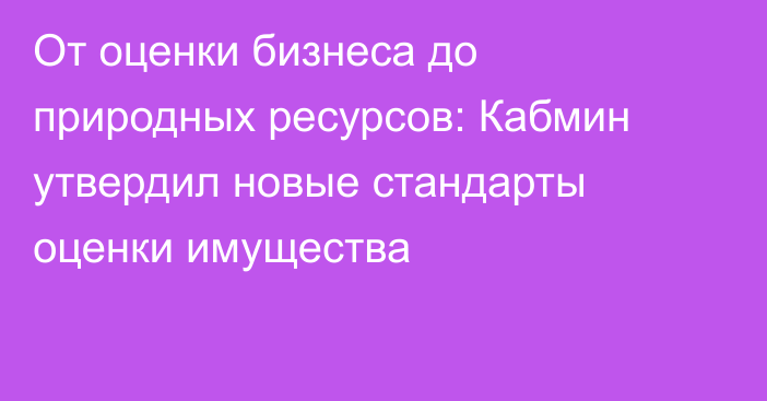 От оценки бизнеса до природных ресурсов: Кабмин утвердил новые стандарты оценки имущества