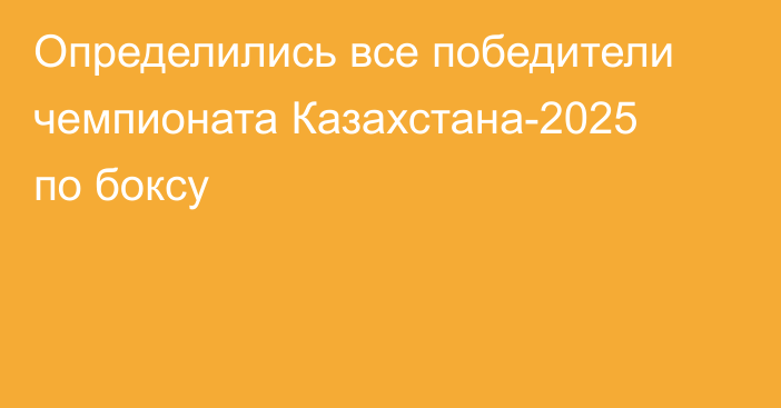 Определились все победители чемпионата Казахстана-2025 по боксу