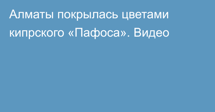 Алматы покрылась цветами кипрского «Пафоса». Видео