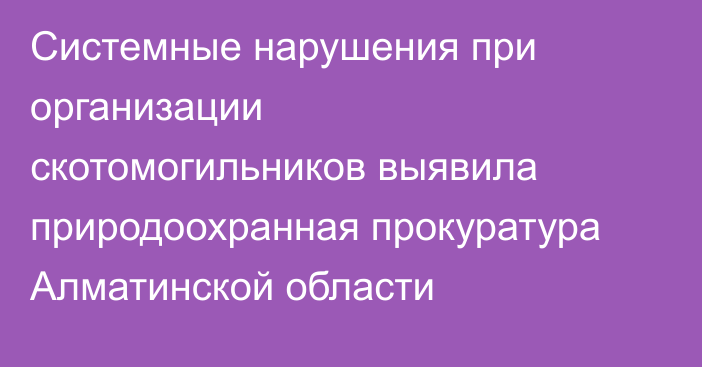 Системные нарушения при организации скотомогильников выявила природоохранная прокуратура Алматинской области