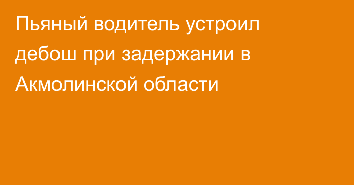 Пьяный водитель устроил дебош при задержании в Акмолинской области