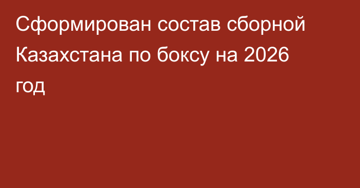 Сформирован состав сборной Казахстана по боксу на 2026 год