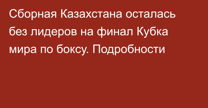 Сборная Казахстана осталась без лидеров на финал Кубка мира по боксу. Подробности