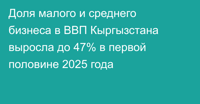 Доля малого и среднего бизнеса в ВВП Кыргызстана выросла до 47% в первой половине 2025 года