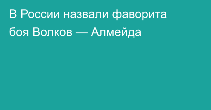 В России назвали фаворита боя Волков — Алмейда
