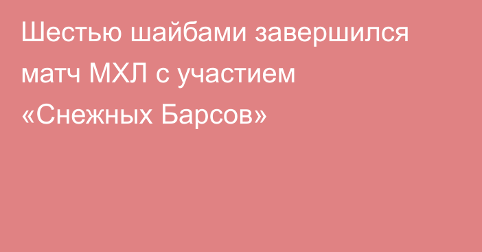 Шестью шайбами завершился матч МХЛ с участием «Снежных Барсов»