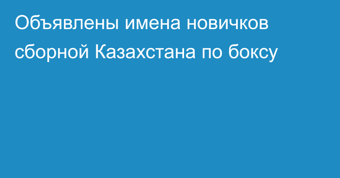 Объявлены имена новичков сборной Казахстана по боксу