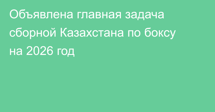 Объявлена главная задача сборной Казахстана по боксу на 2026 год