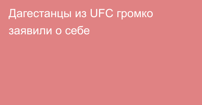 Дагестанцы из UFC громко заявили о себе