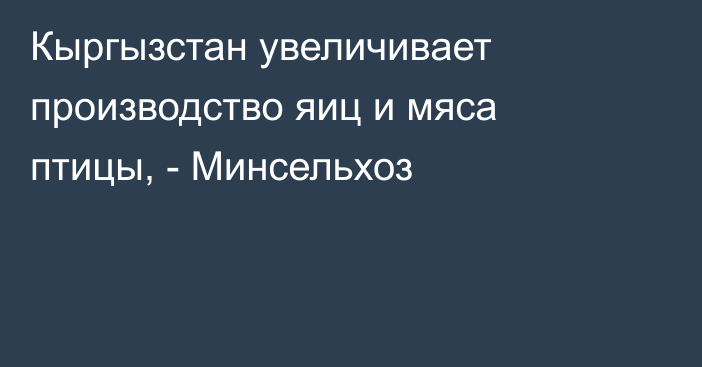 Кыргызстан увеличивает производство яиц и мяса птицы, - Минсельхоз