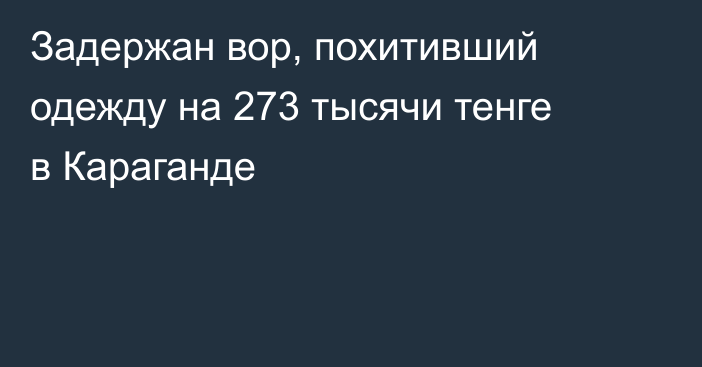 Задержан вор, похитивший одежду на 273 тысячи тенге в Караганде