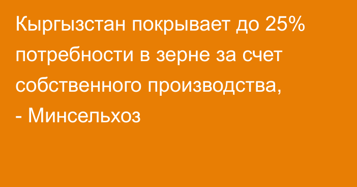 Кыргызстан покрывает до 25% потребности в зерне за счет собственного производства, - Минсельхоз