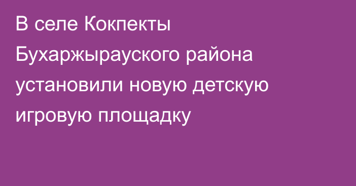 В селе Кокпекты Бухаржырауского района установили новую детскую игровую площадку