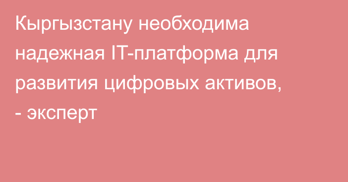 Кыргызстану необходима надежная IT-платформа для развития цифровых активов, - эксперт