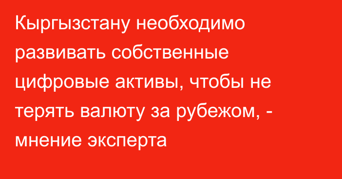 Кыргызстану необходимо развивать собственные цифровые активы, чтобы не терять валюту за рубежом, - мнение эксперта