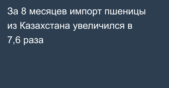 За 8 месяцев импорт пшеницы из Казахстана увеличился в 7,6 раза