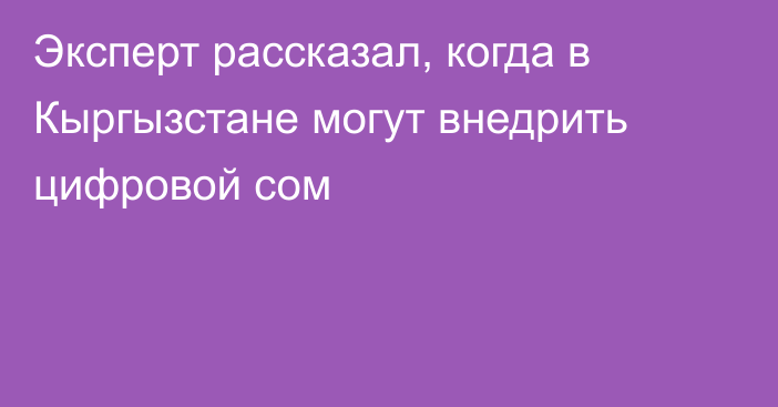Эксперт рассказал, когда в Кыргызстане могут внедрить цифровой сом