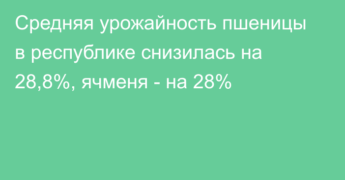 Средняя урожайность пшеницы в республике снизилась на 28,8%, ячменя - на 28%