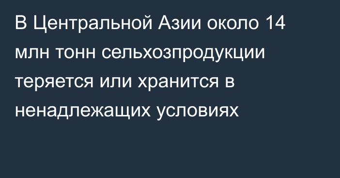 В Центральной Азии около 14 млн тонн сельхозпродукции теряется или хранится в ненадлежащих условиях