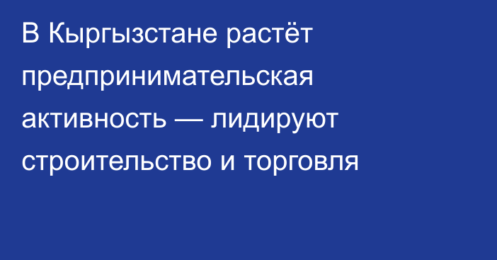 В Кыргызстане растёт предпринимательская активность — лидируют строительство и торговля