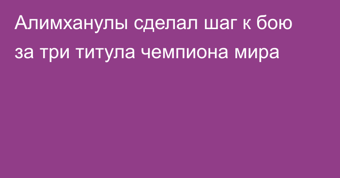 Алимханулы сделал шаг к бою за три титула чемпиона мира