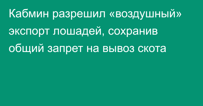Кабмин разрешил «воздушный» экспорт лошадей, сохранив общий запрет на вывоз скота