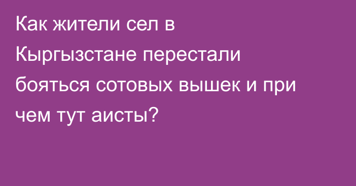 Как жители сел в Кыргызстане перестали бояться сотовых вышек и при чем тут аисты?