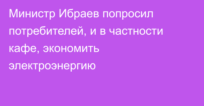Министр Ибраев попросил потребителей, и в частности кафе, экономить электроэнергию