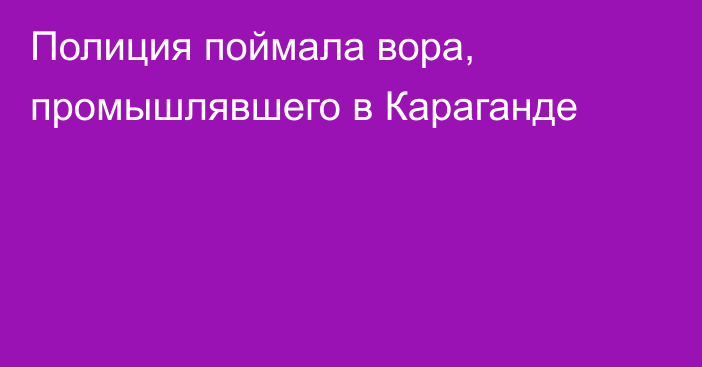 Полиция поймала вора, промышлявшего в Караганде