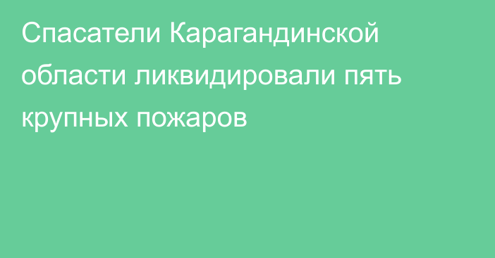 Спасатели Карагандинской области ликвидировали пять крупных пожаров