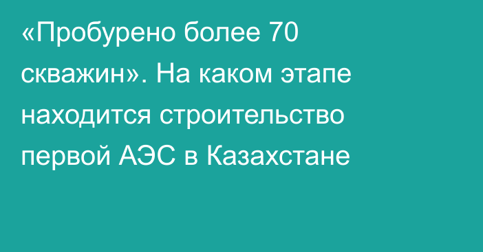 «Пробурено более 70 скважин». На каком этапе находится строительство первой АЭС в Казахстане