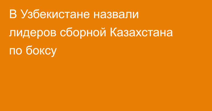 В Узбекистане назвали лидеров сборной Казахстана по боксу