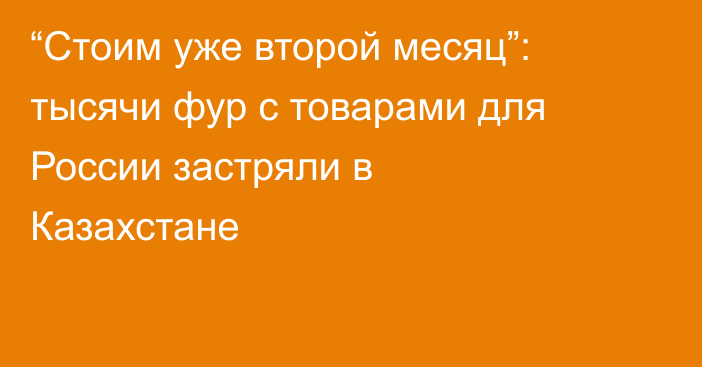 “Стоим уже второй месяц”: тысячи фур с товарами для России застряли в Казахстане