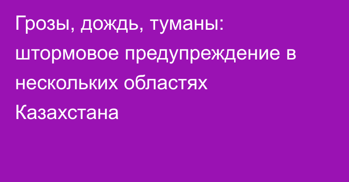 Грозы, дождь, туманы: штормовое предупреждение в нескольких областях Казахстана